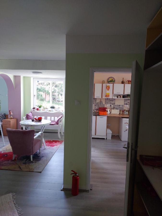 Apartman Nikola Rakovac Экстерьер фото